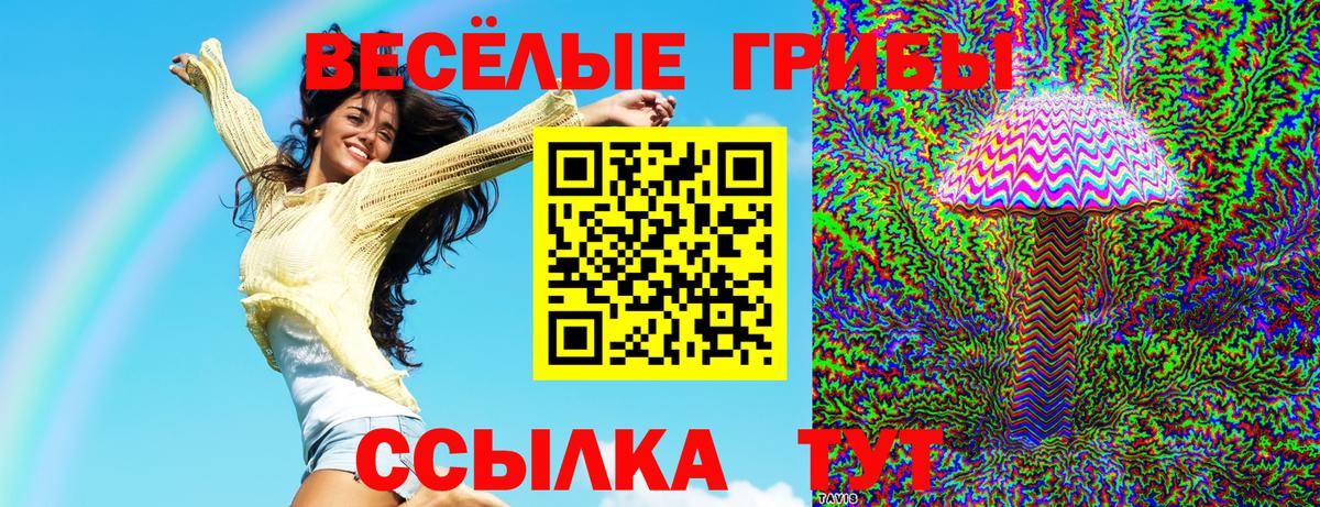 Псилоцибиновые грибы Psilocybe  Галлюциногенные грибы Cubensis  Абакан  Вход с VPN 
